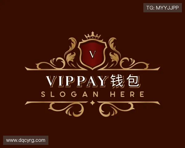发现VipPay钱包